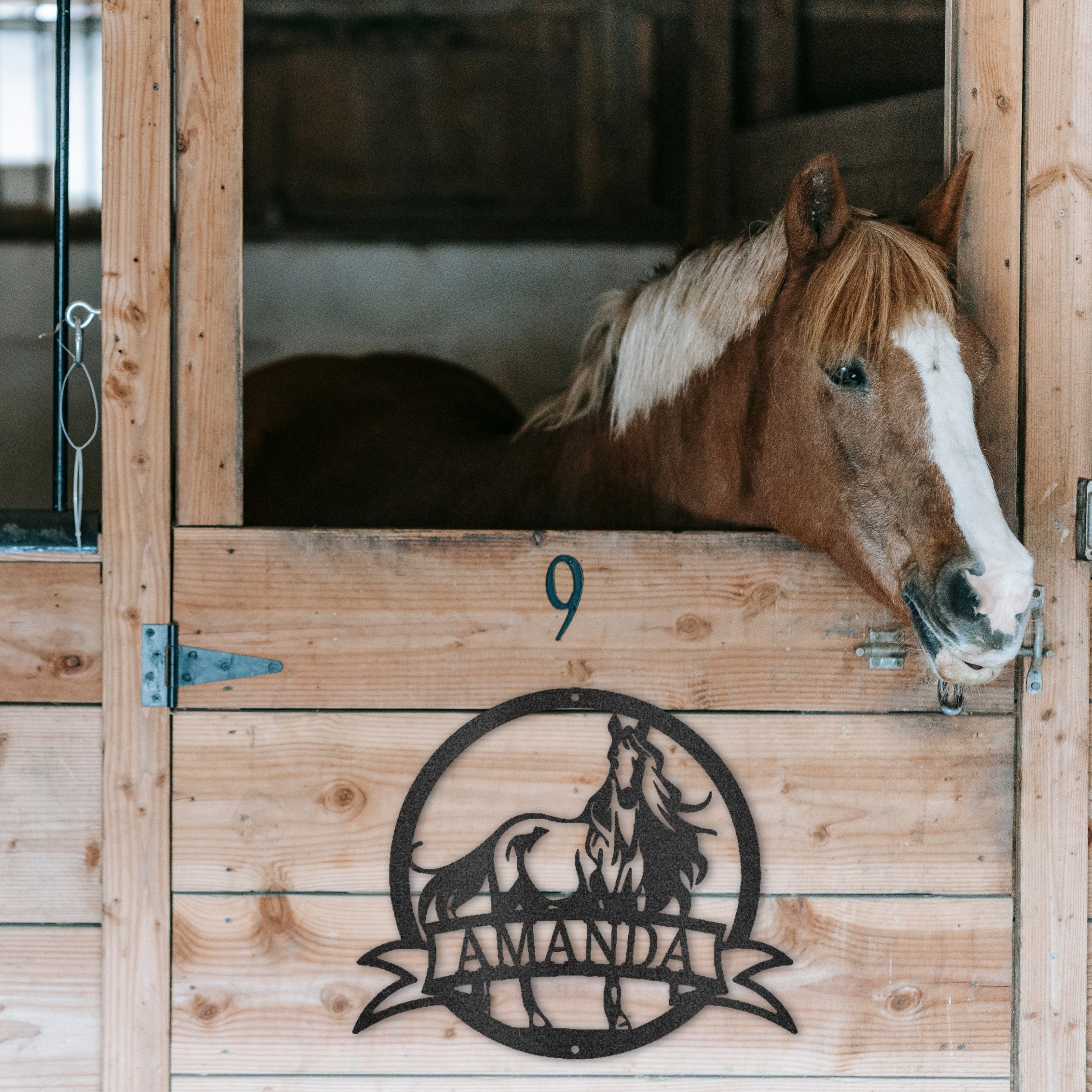 Tack Room Organization