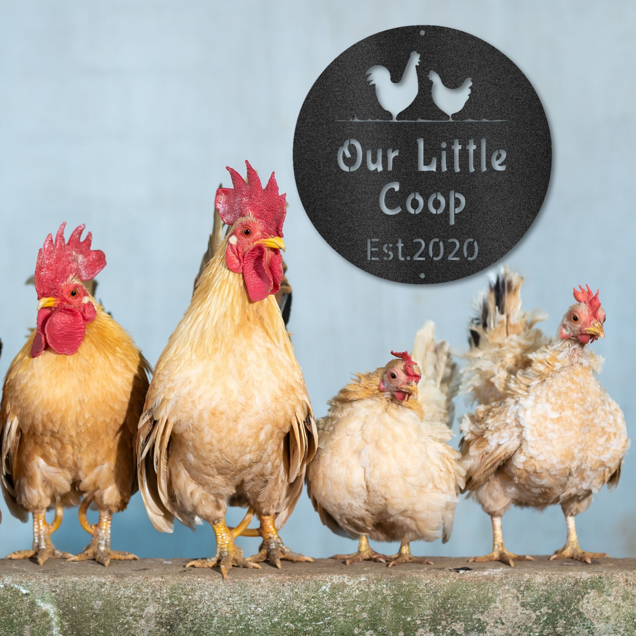 Barn & Coop Naming Signs